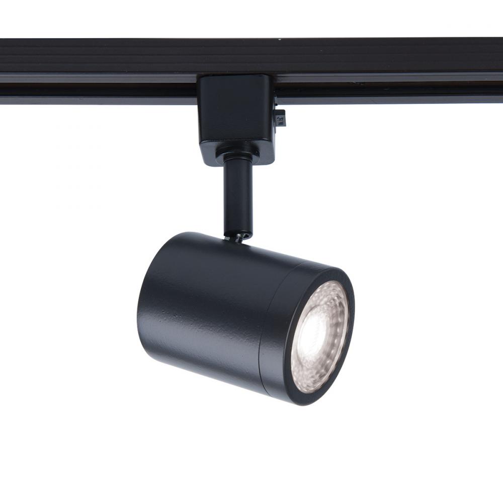 8010 Energy Star Track Luminaire