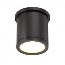 WAC Canada FM-W2605-BK - TUBE Outdoor Flush Mount Light