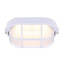 Canarm LOL386WH - LED Outdoor Light, Frosted Glass, 12W Integrated LED, 750 Lumens