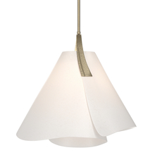 Hubbardton Forge - Canada 134501-SKT-MULT-84-SH1992 - Mobius Small Pendant