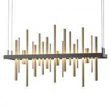 Hubbardton Forge - Canada 139725-LED-STND-07-84 - Cityscape LED Pendant