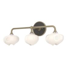 Hubbardton Forge - Canada 201342-SKT-84-14-FD0710 - Ume 3-Light Curved Arm Bath Sconce