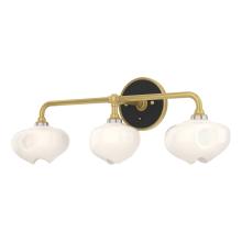 Hubbardton Forge - Canada 201342-SKT-86-10-FD0710 - Ume 3-Light Curved Arm Bath Sconce