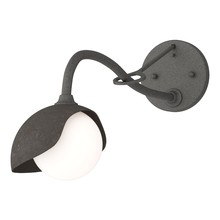 Hubbardton Forge - Canada 201376-SKT-20-07-GG0711 - Brooklyn 1-Light Single Shade Long-Arm Sconce