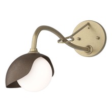 Hubbardton Forge - Canada 201376-SKT-84-05-GG0711 - Brooklyn 1-Light Single Shade Long-Arm Sconce