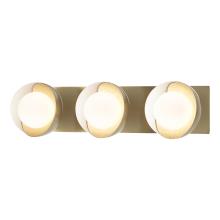 Hubbardton Forge - Canada 201378-SKT-86-02-GG0711 - Brooklyn 3-Light Straight Double Shade Bath Sconce