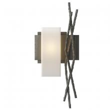 Hubbardton Forge - Canada 207670-SKT-LFT-20-GG0351 - Brindille Sconce