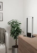 206021A_LS1.jpg