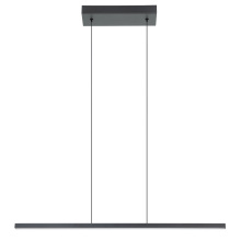 Eglo Canada 206045A - 1 LT Integrated LED Linear Pendant w/ Black Finish & White Diffuser