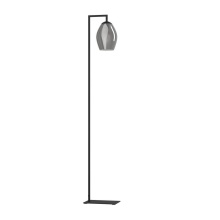 Eglo Canada 390256A - 1 LT Floor Lamp w/ Black Finish & Chrome Smoked Glass Shade